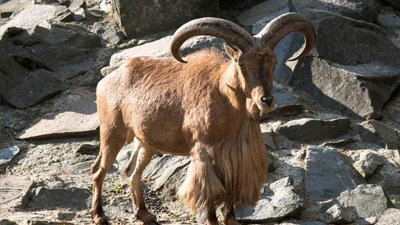 集團參加農(nóng)產(chǎn)品展銷會